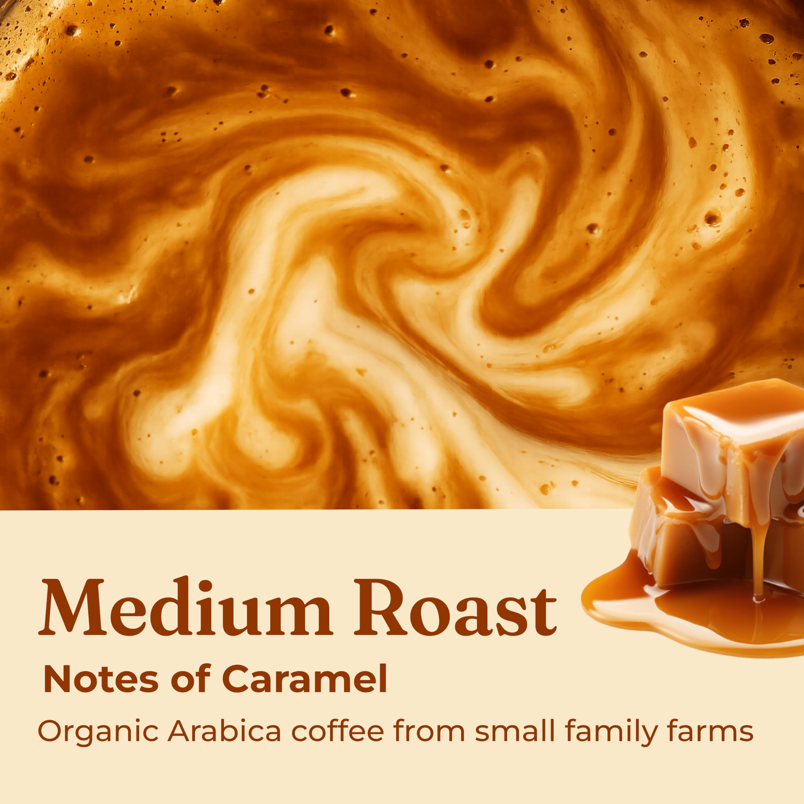 Four Sigmatic Focus Lion's Mane mushroom jar for natural cognitive support