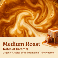 Four Sigmatic Focus Lion's Mane mushroom jar for natural cognitive support
