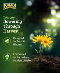 FoxFarm Grow Big bottle showcases growth boost for indoor and outdoor plants.