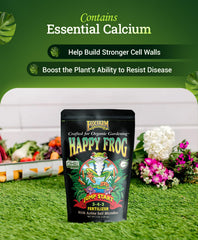 Root development supported by mycorrhizal fungi in FoxFarm Jump Start
