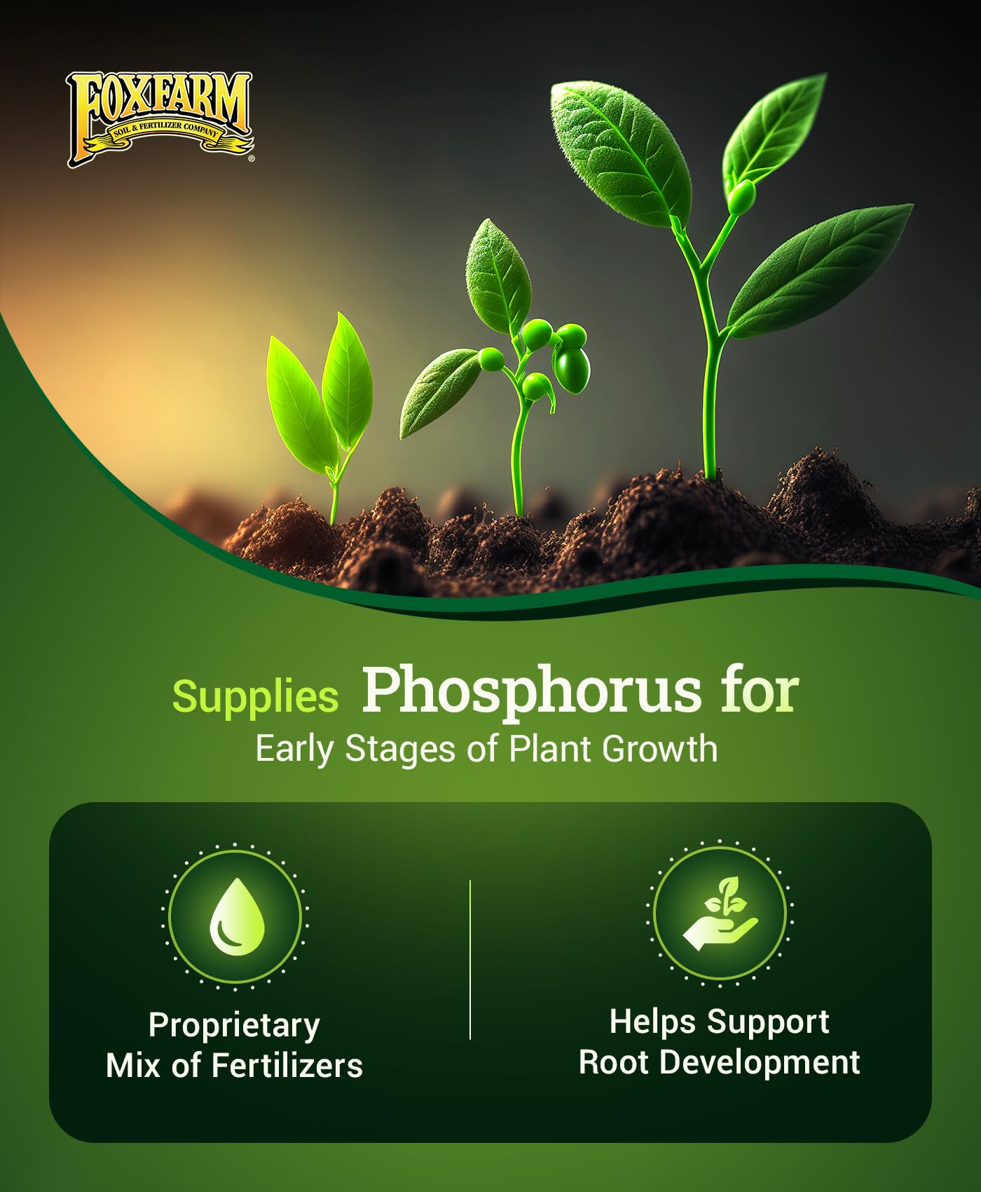 Seedlings in pots establish more quickly after transplant with FoxFarm Jump Start