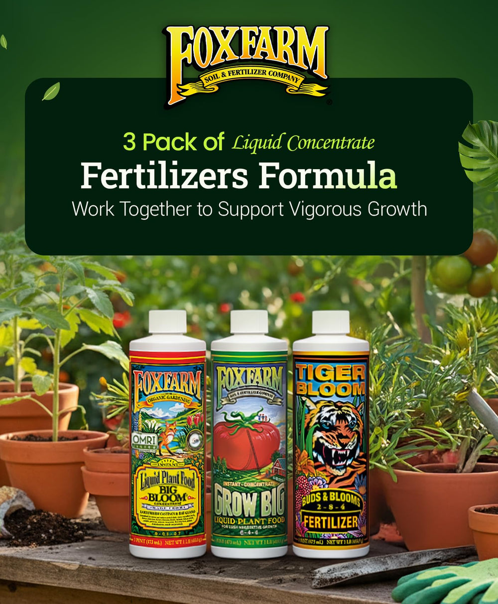 Plants absorb FoxFarm liquids to support healthy growth and abundant blooms.