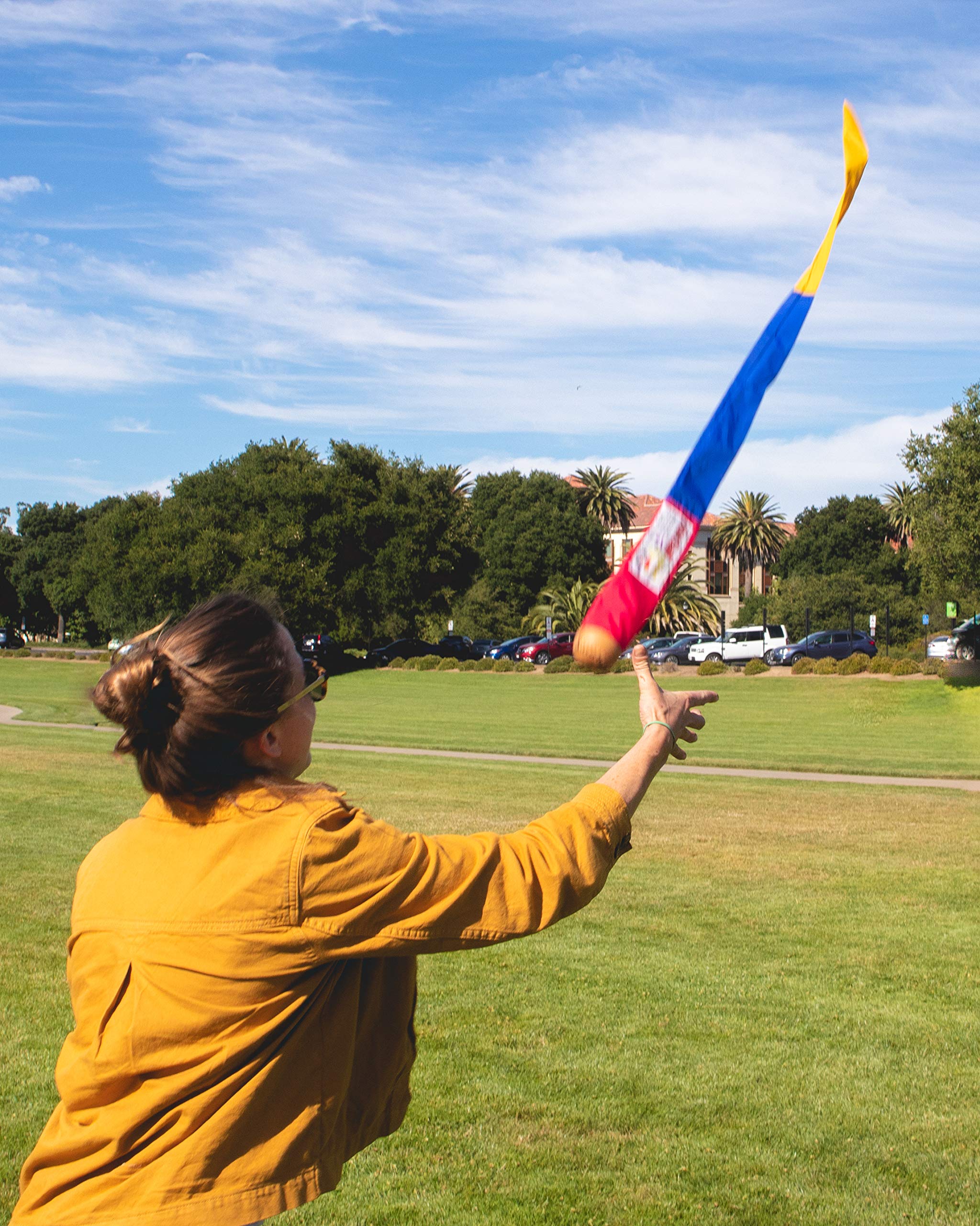 Foxtail Sport includes game booklet offering varied play ideas and quick-start rules.