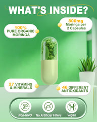 Fravonique Moringa Capsules outside bottle for easy daily intake.
