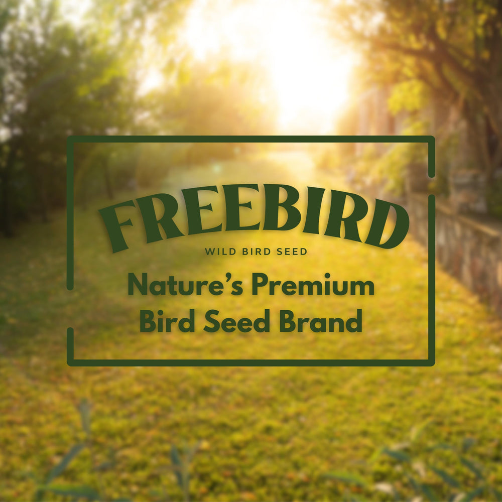 FREEBIRD Wild Bird Seed mixed millet for year-round feeding in outdoor spaces.