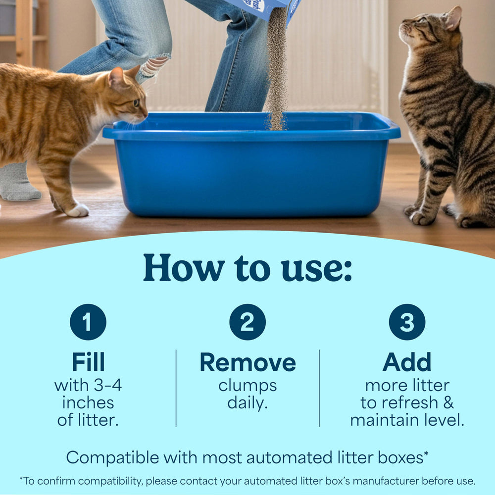 Fresh Step Odor Shield activated carbon layer on the litter surface captured