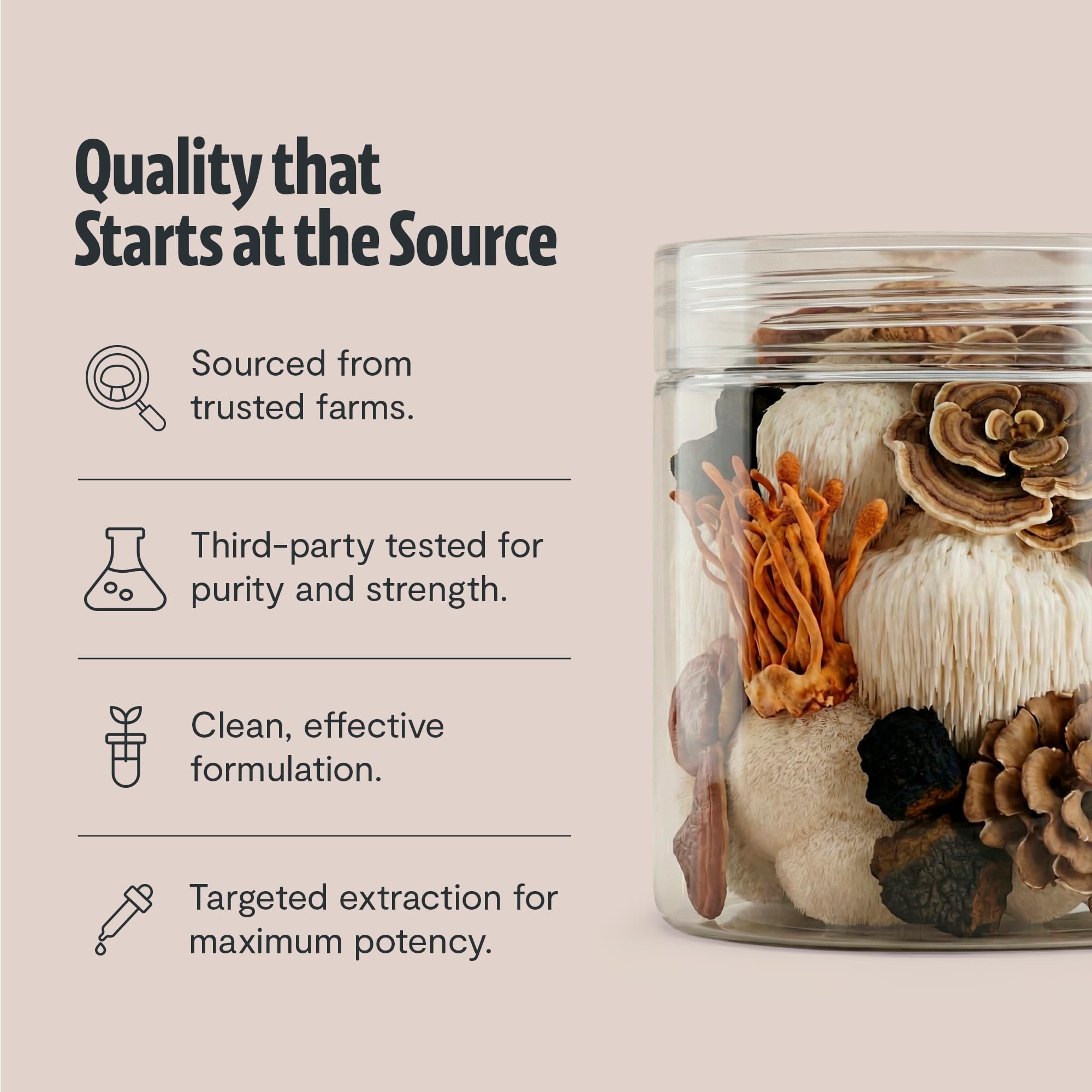 FreshCap Mushrooms 12k mg serving label emphasizes potent nootropic profile