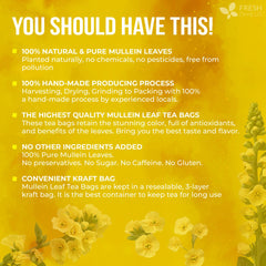 FreshDrinkUS mullein leaves handpicked for quality and aroma.