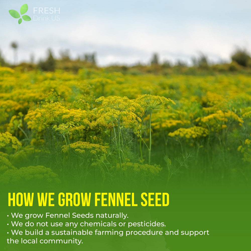 FreshDrinkUS fennel tea bags ready for use at home during a quiet moment.