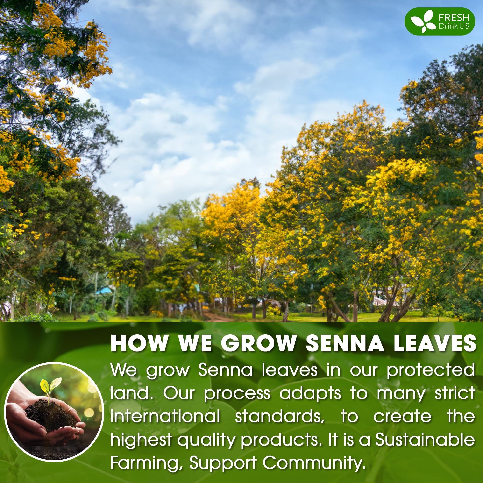 FreshDrinkUS senna tea bags brewing hot, offering comforting aroma and warmth.