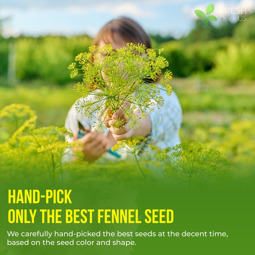 FreshDrinkUS fennel tea bags simplify office breaks with caffeine-free calm.