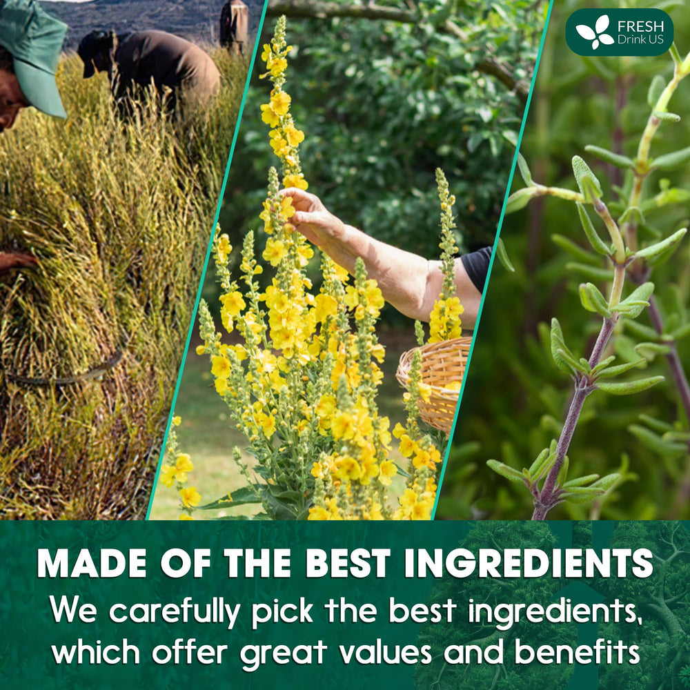 FreshDrinkUS ingredient close-up highlights mullein, ginger, and elderberry for flavor.