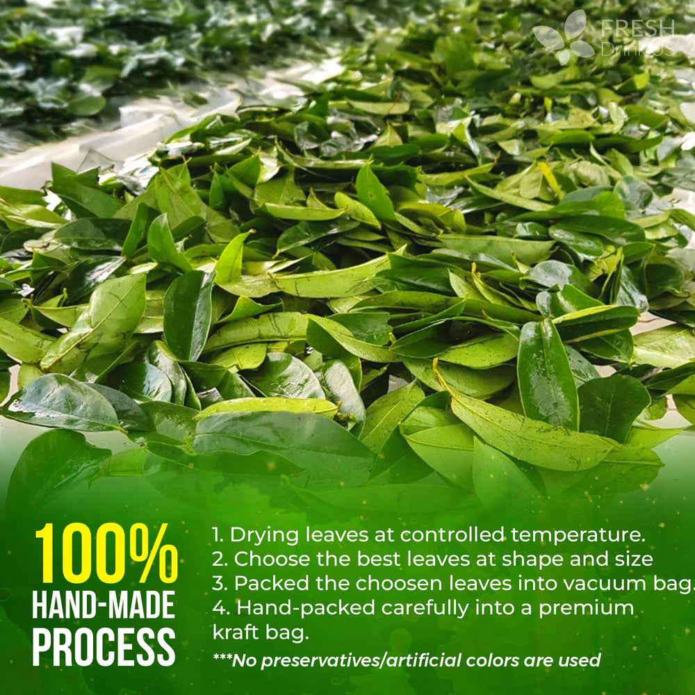 FreshDrinkUS whole-leaf tea infusion ready for a flavorful brew.