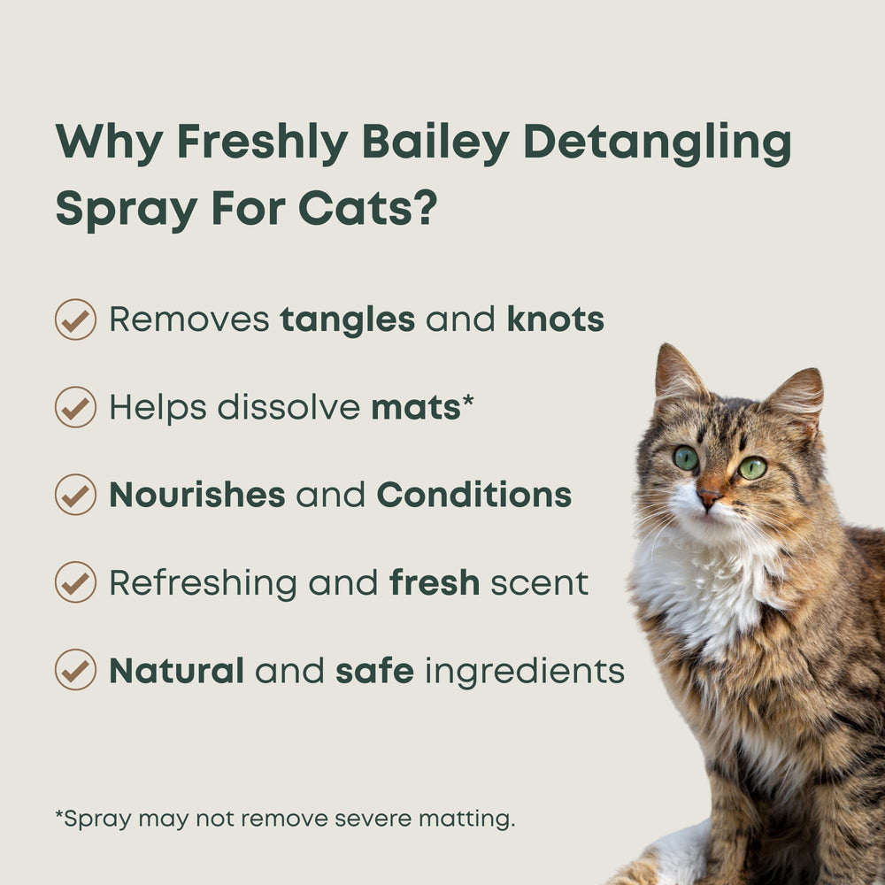 Freshly Bailey detangler spray bottle in hand for quick detangling and glossy coat.