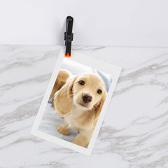 FRICHOM clamp with ergonomic round handle delivering comfortable grip