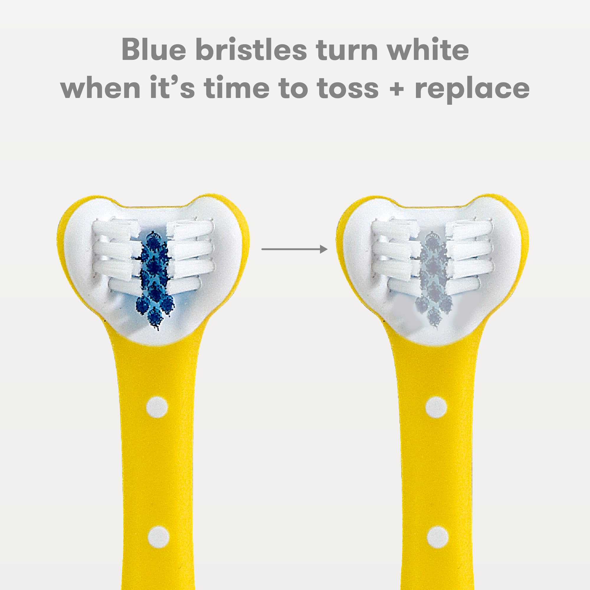 Frida Baby Toothhugger blue timer-indicator bristles signal replacement