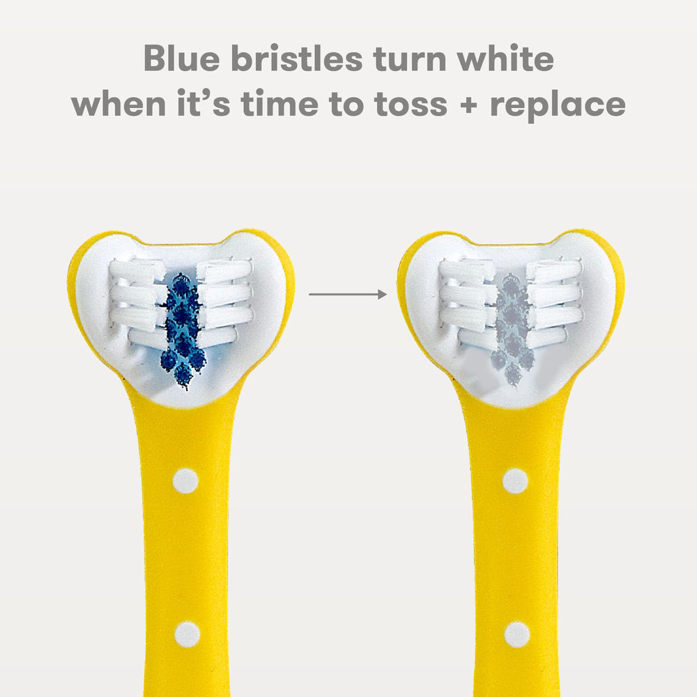 Frida Baby Toothhugger blue timer-indicator bristles signal replacement