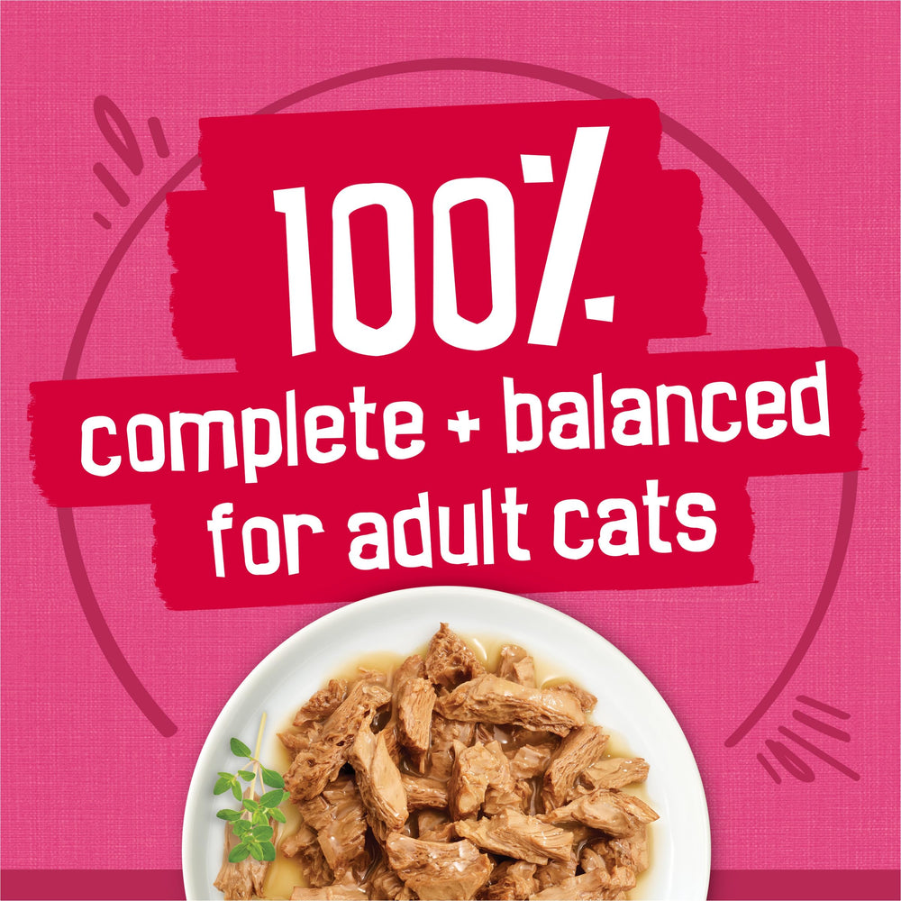 Friskies cat aroma entices cat to dish at mealtime