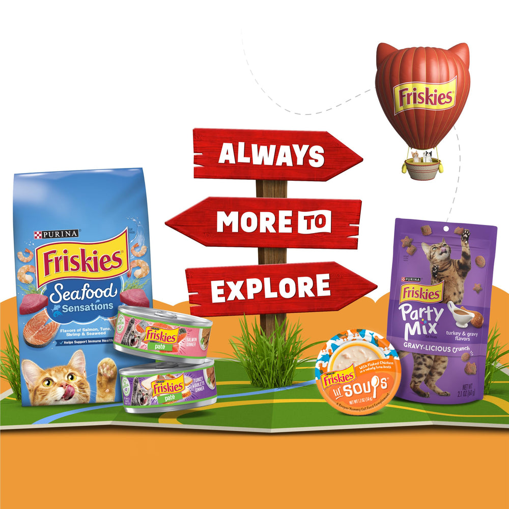 Friskies Lil' Soups cat snack moment captured during playtime