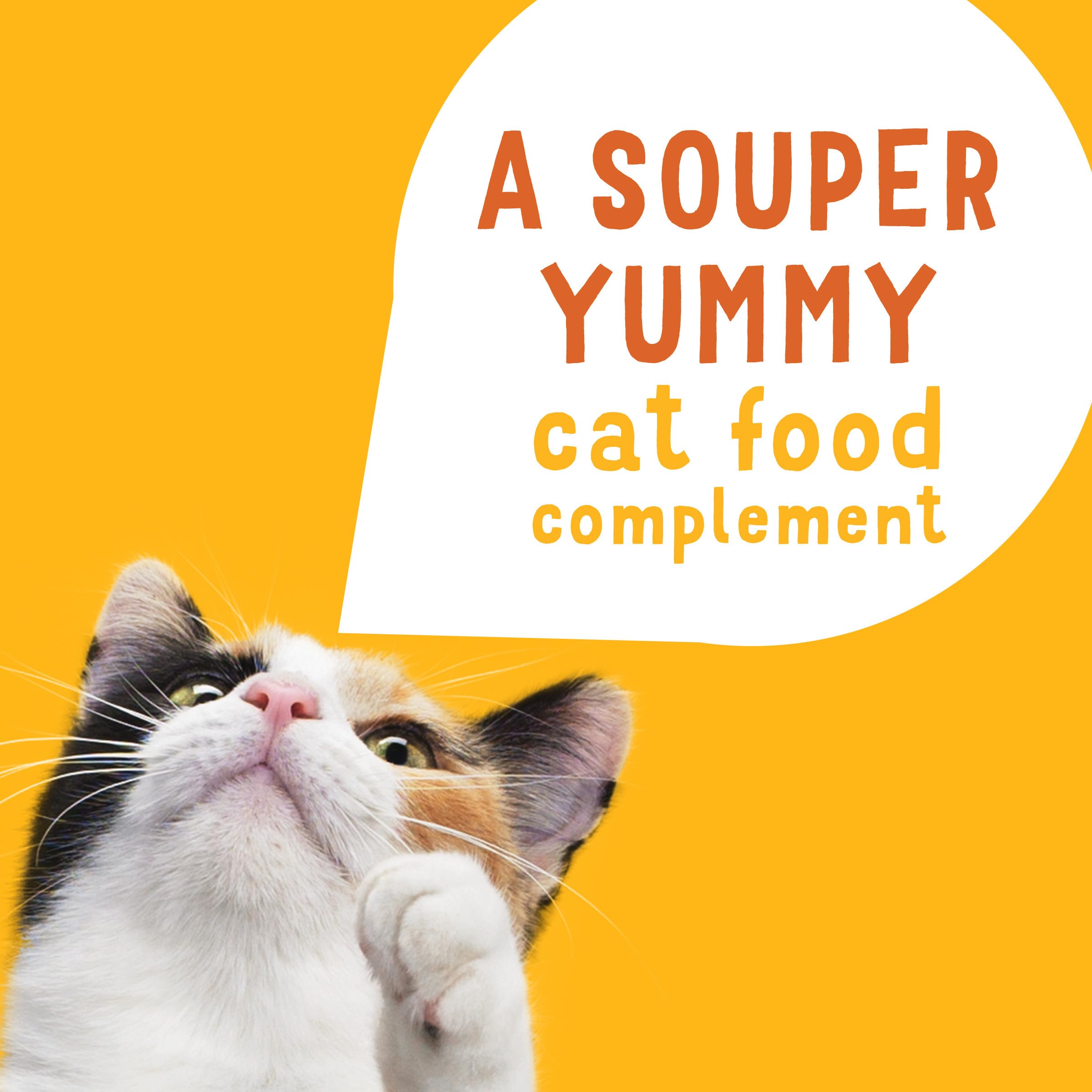 Friskies Lil' Soups cups-serving format for easy portions.