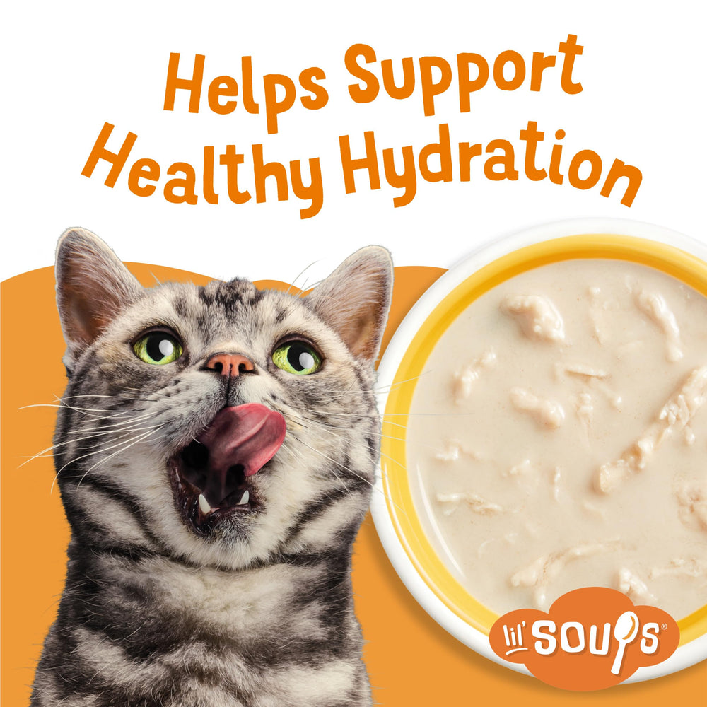 Friskies Lil' Soups grain-free formula highlights protein without grains