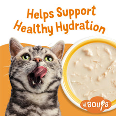 Friskies Lil' Soups grain-free formula highlights protein without grains