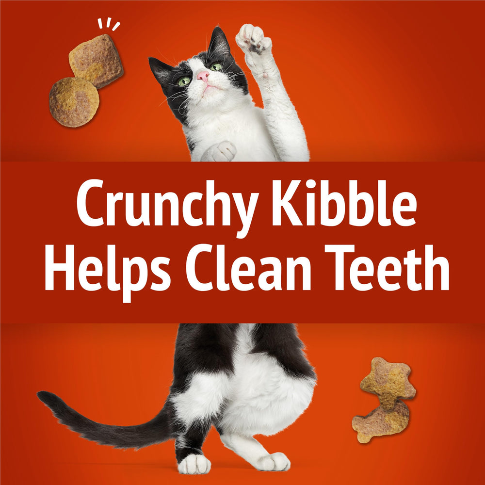 Friskies Party Mix Gravy-Licious emballage refermable pour partager entre chats