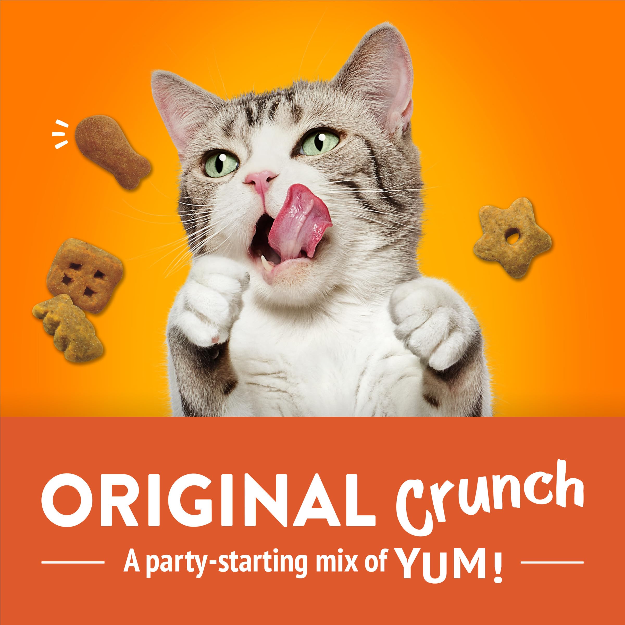 Friskies Party Mix Original Crunch treat bite showing the crunchy texture loved by cats.