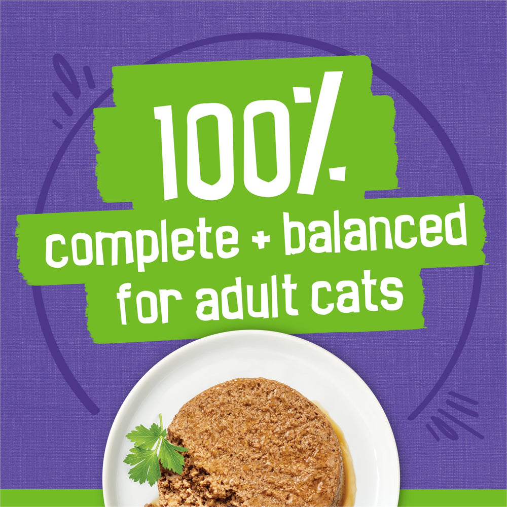 Friskies Pull-Tab Cans shown for easy opening during mealtime.