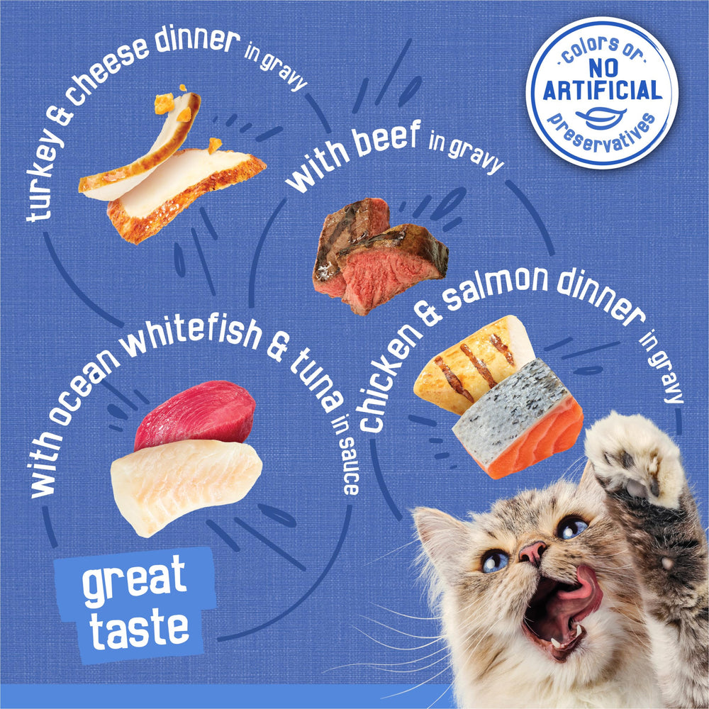 Friskies Shreds Turkey and Cheese Dinner in Gravy close-up with meat shreds and creamy sauce.