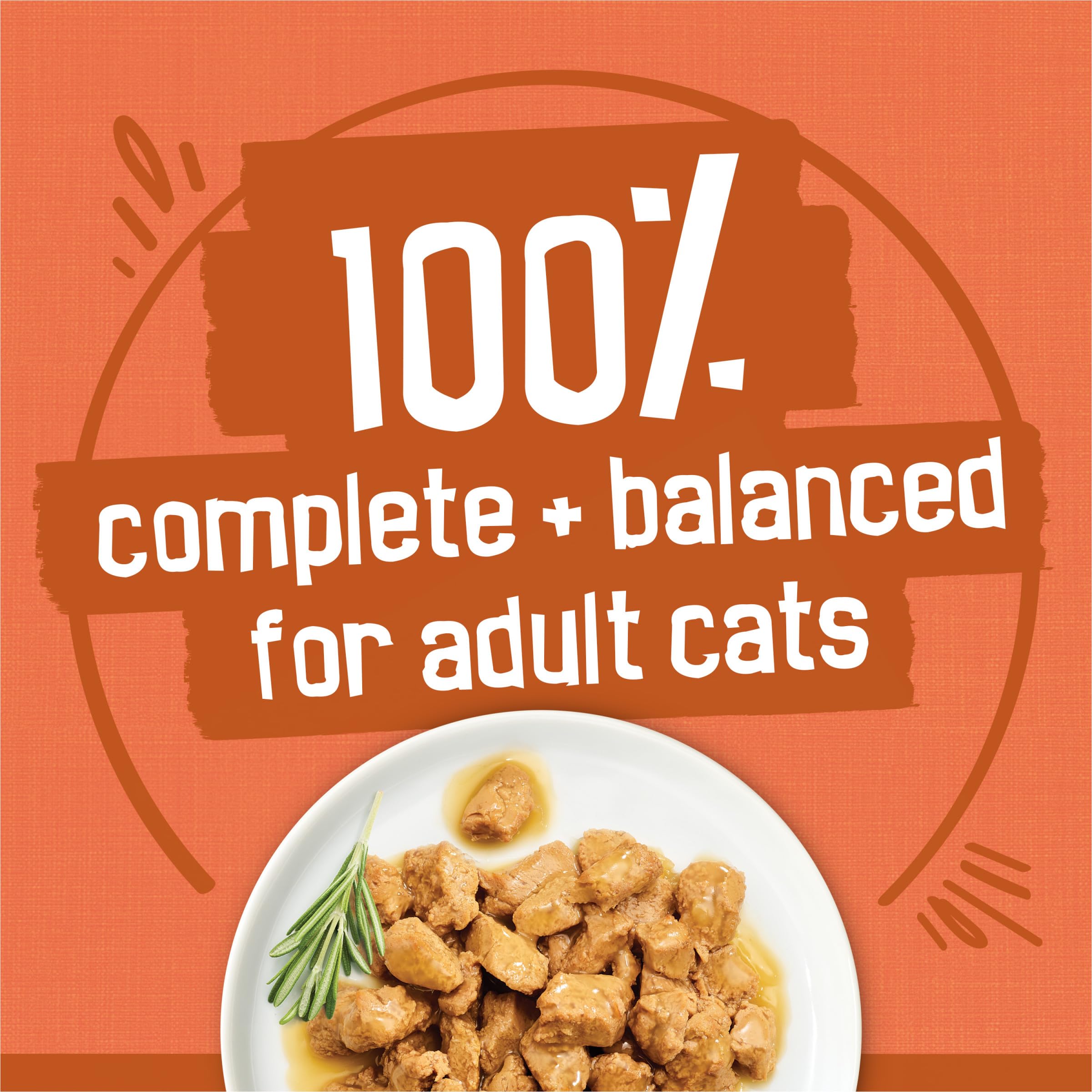Friskies TurChicken extra gravy chunky chicken in savory gravy for moisture