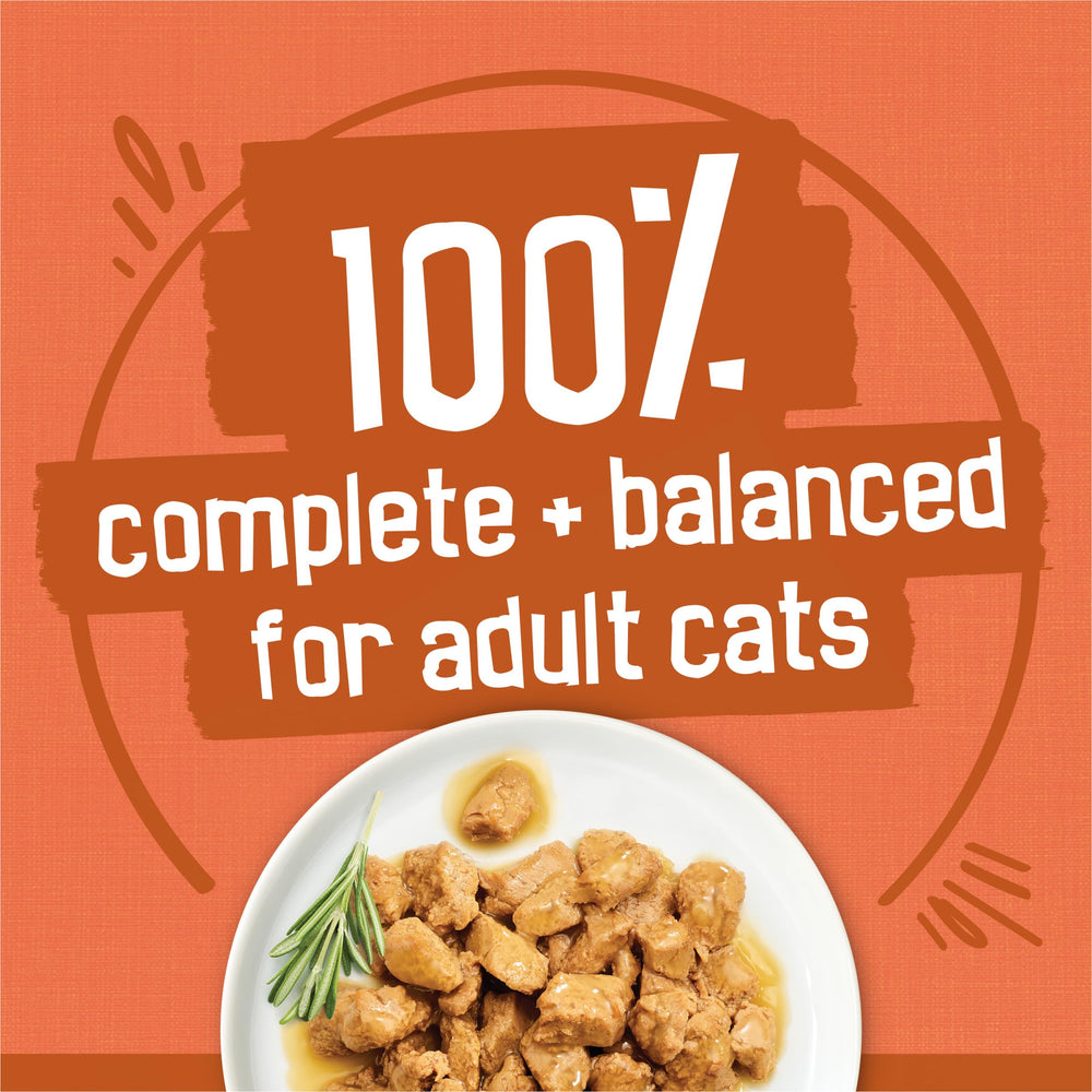 Friskies TurChicken extra gravy chunky chicken in savory gravy for moisture