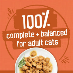 Friskies TurChicken extra gravy chunky chicken in savory gravy for moisture