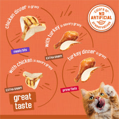 Friskies TurChicken prime filets turkey dinner in gravy with tender filets