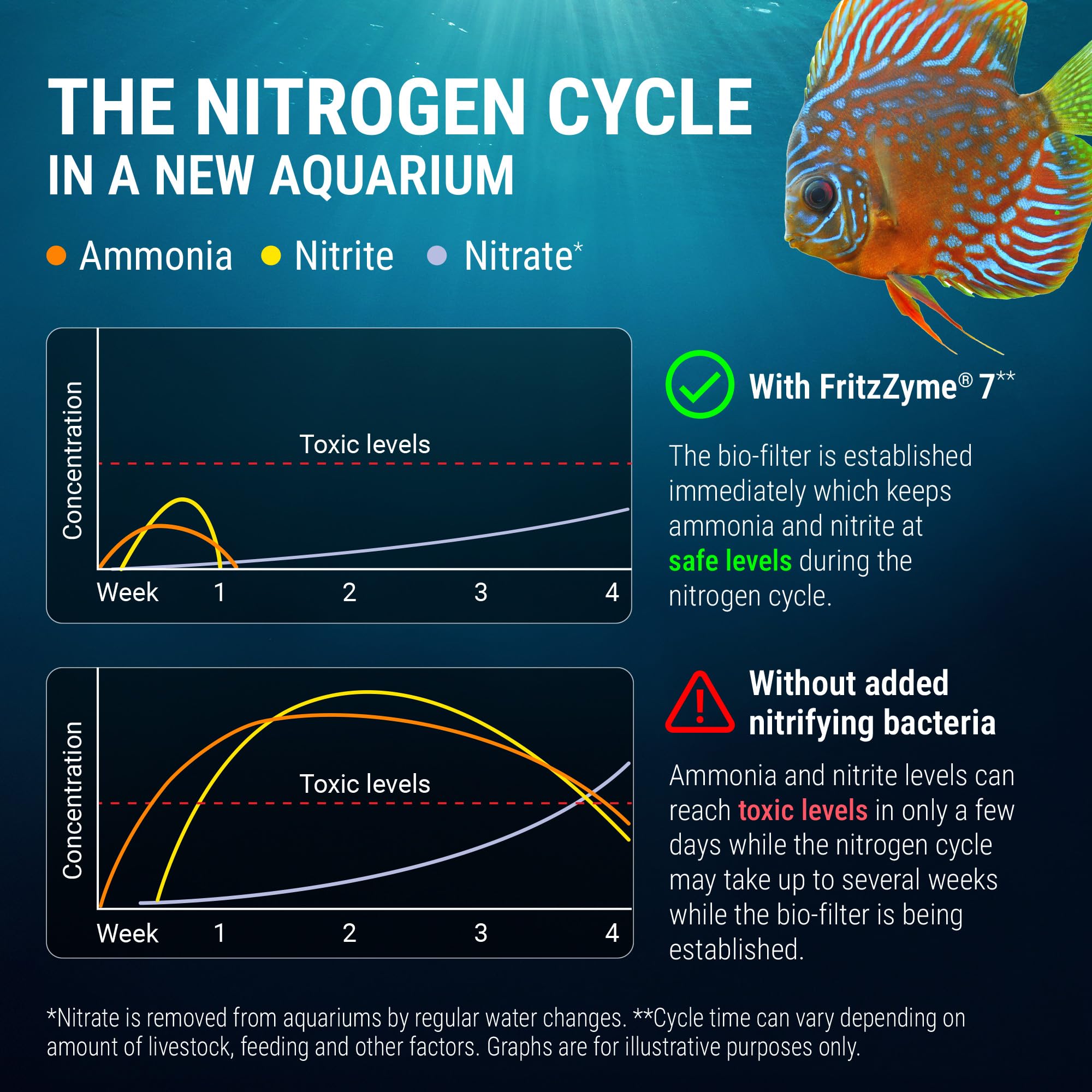 In-tank application shows FritzZyme 7 supporting a stable water environment.