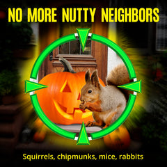 Frogoom Chipmunk Deterrent Garden keeps chips away from flower beds.