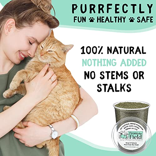 From The Field catnip suitable for kittens and cats supports interactive, safe play