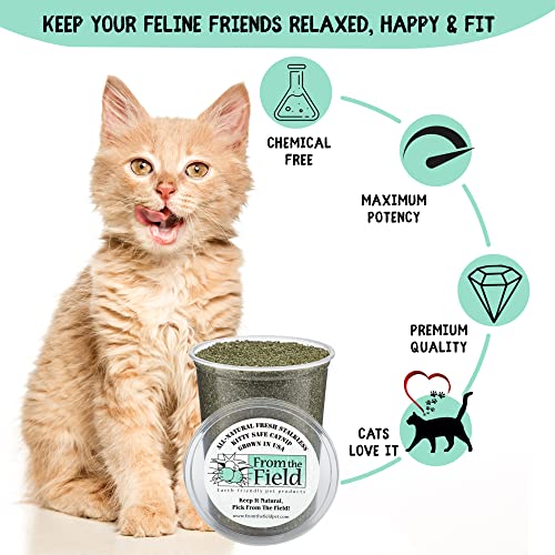 From The Field Fine Ground Stalkless Catnip texture enables easy toy filling and scent release