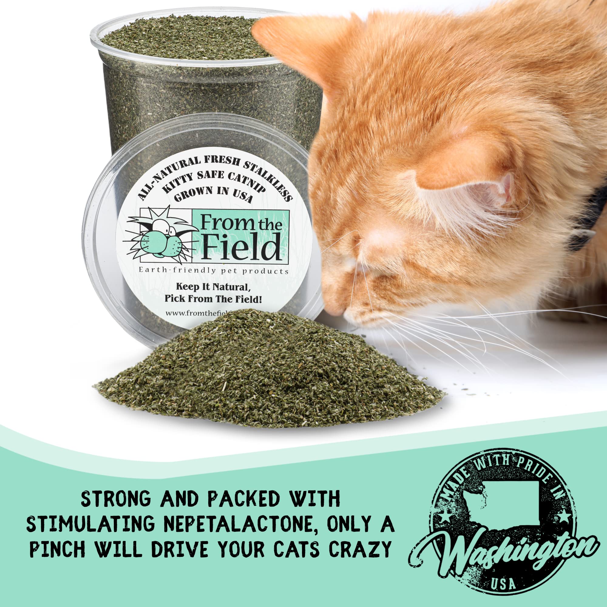 From The Field premium catnip seeds, heat-sterilized, support natural growth and spread