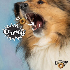 Fromm Crunchy Os Bacon Blasters bag reseal demonstrates freshness on the go.