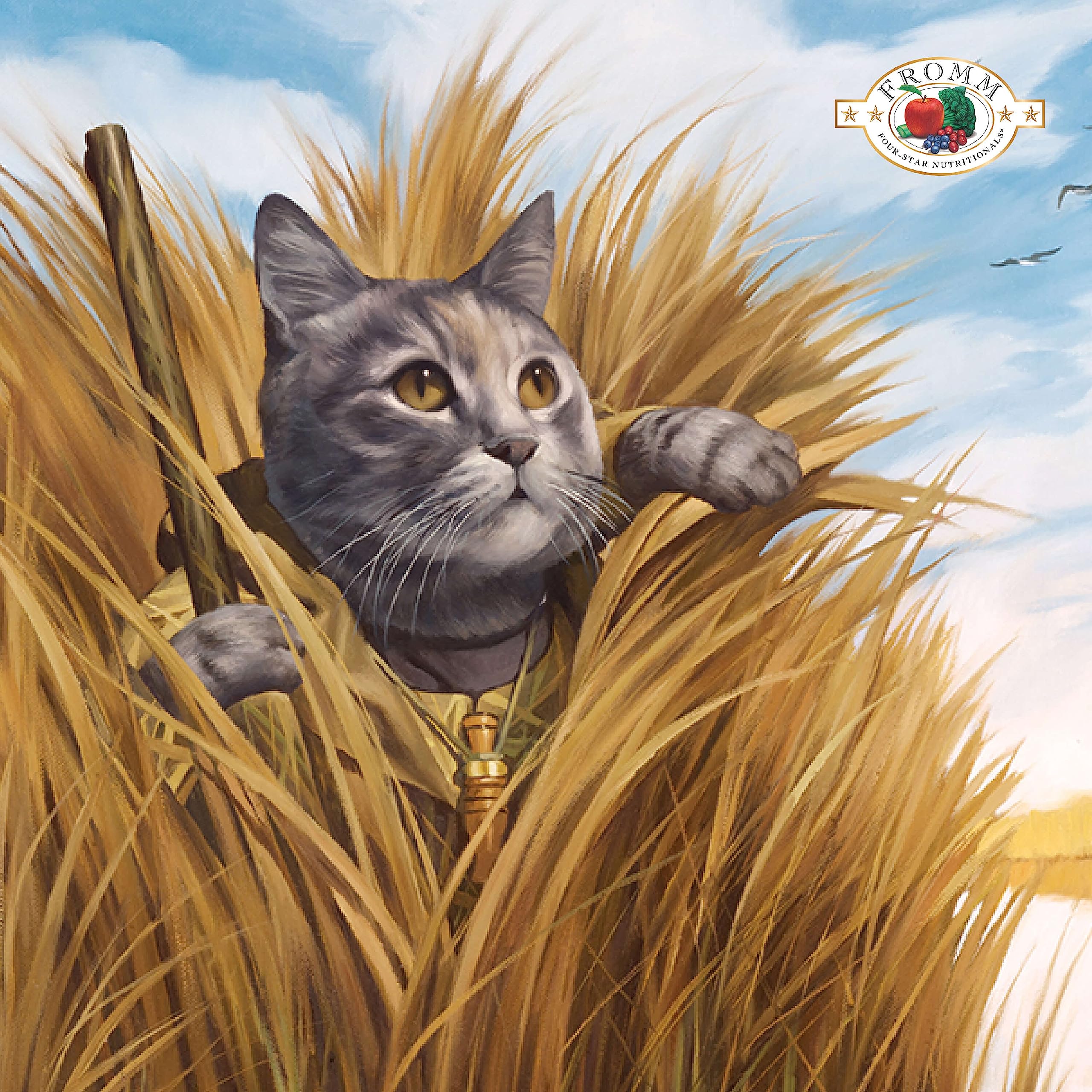 Fromm Game Bird turkey-broth kibble enhances palatability for cats.