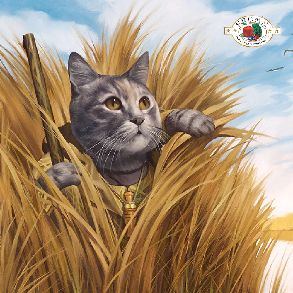 Fromm Game Bird turkey-broth kibble enhances palatability for cats.