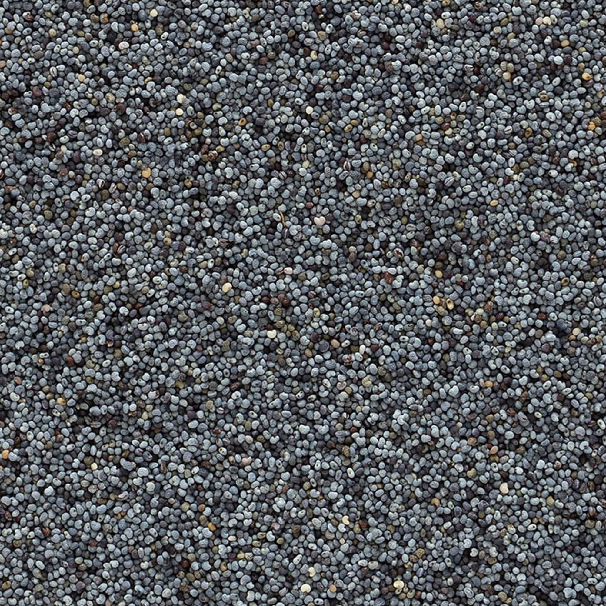 Frontier Co-op blue-black poppy seeds highlight flavor in close-up view
