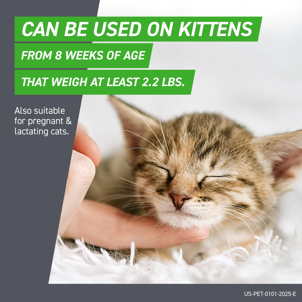 Frontline Plus Cat kitten eight weeks old is safe to use.