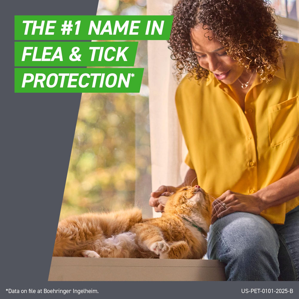 Frontline Plus Cat ticks closeup shows strong parasite prevention in everyday settings.