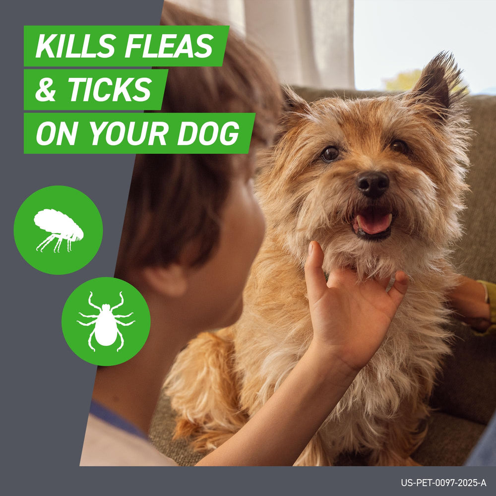 Frontline Plus for Dogs applying point illustrates easy spot-on application.