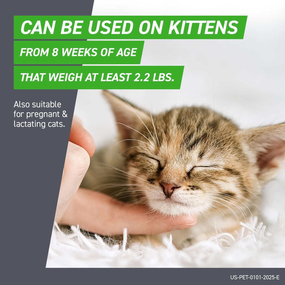Frontline Plus monthly reminder image communicates simple, scheduled flea and tick care.