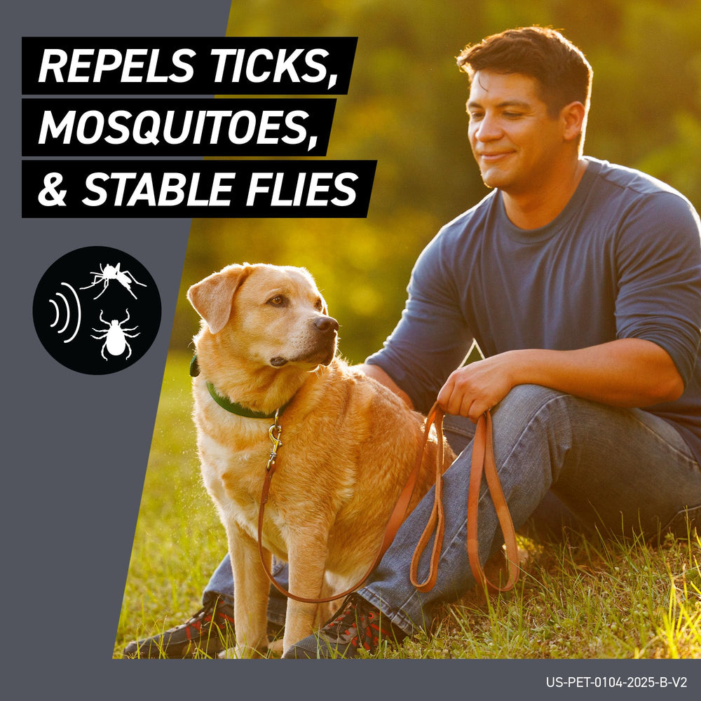 Frontline Shield on a treated dog's coat showing even coverage after application.