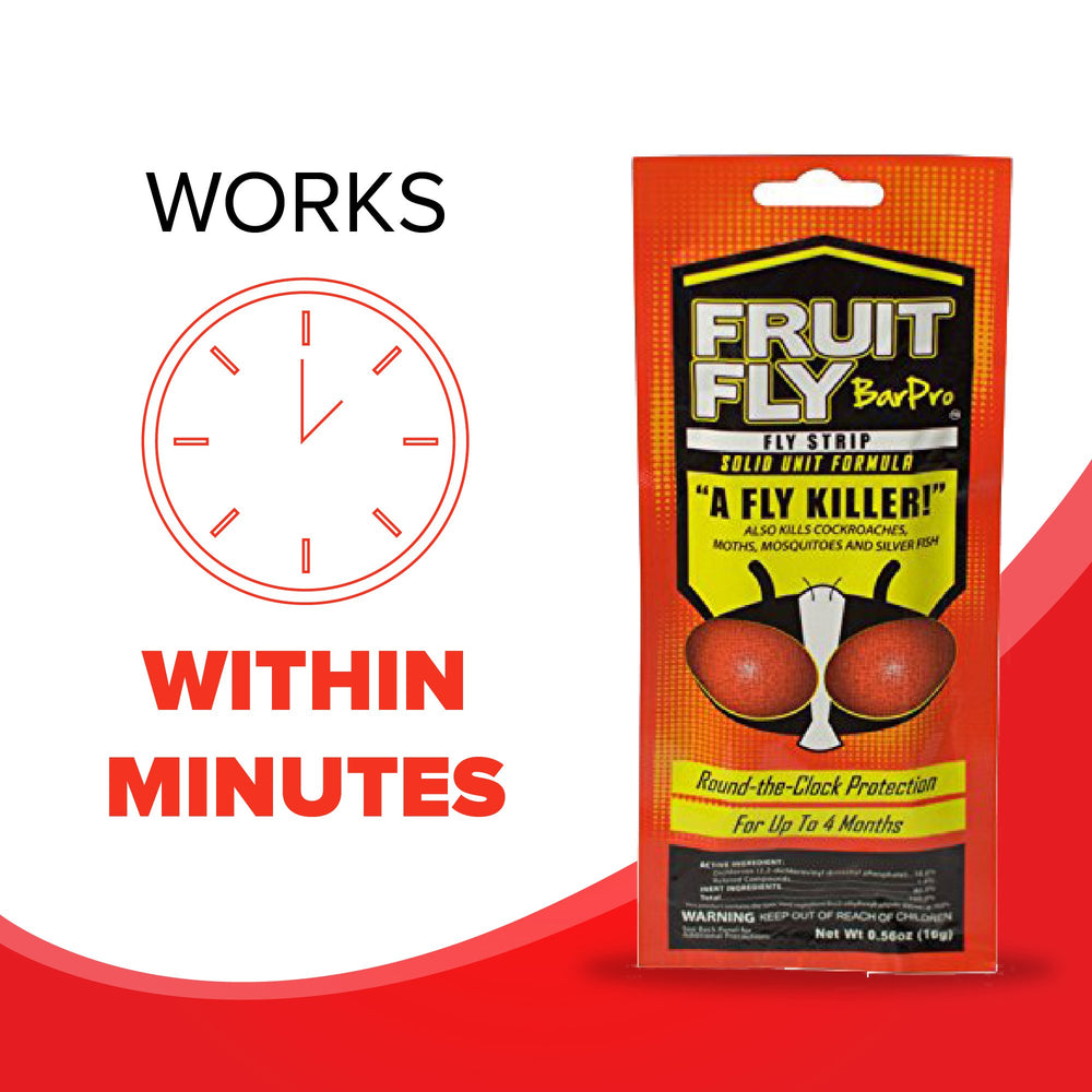 Fruit Fly BarPro infestation-control-closeup emphasizes targeted elimination potential.