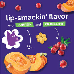 Fruitables Baked Dog Treats Variety 4 Pack pumpkin-blueberry close-up with vibrant color.